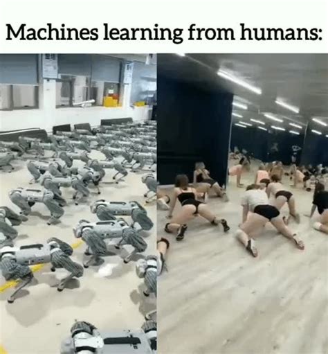 Image result for Statistics Is Machine Learning Meme