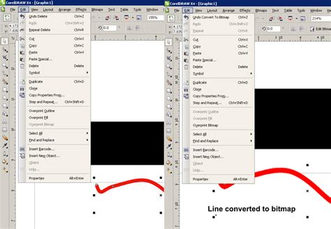 Toradh íomhá ar How to Multiply Bitmap in CorelDRAW