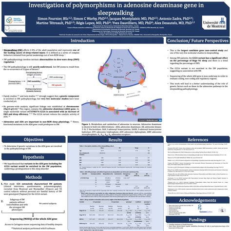 Python Scientific Poster Example に対する画像結果