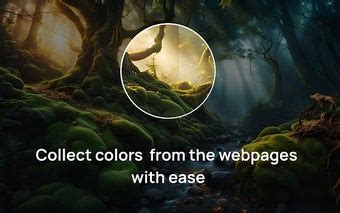 Image result for HTML Color Picker Google