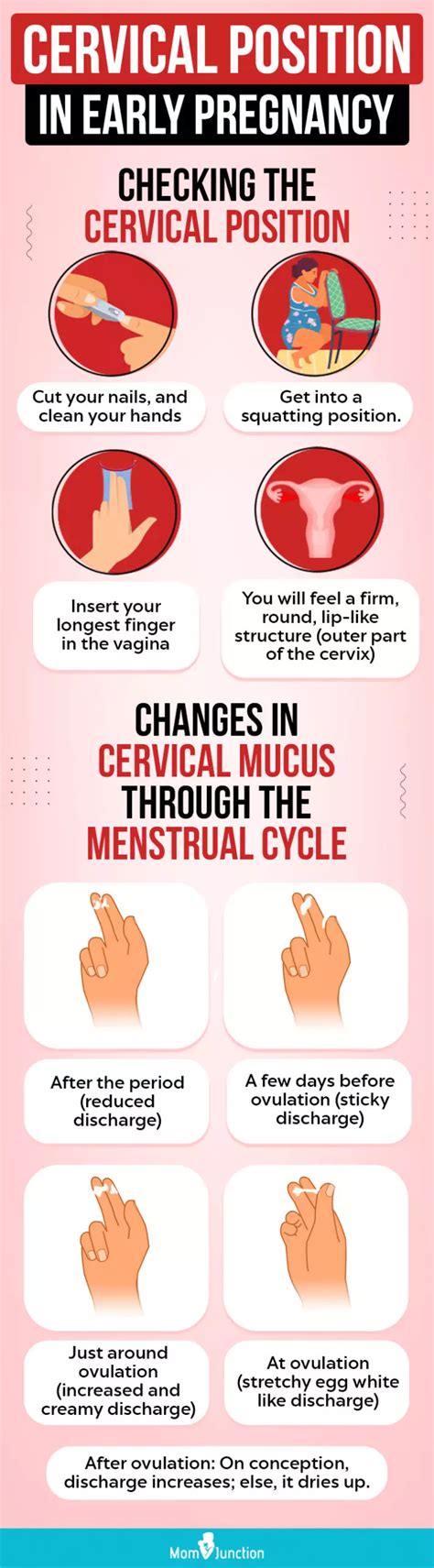 Afbeeldingsresultaten voor How to Check Cervix Visual