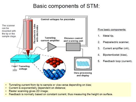 Image result for Scanning Probe Microscope Diagram