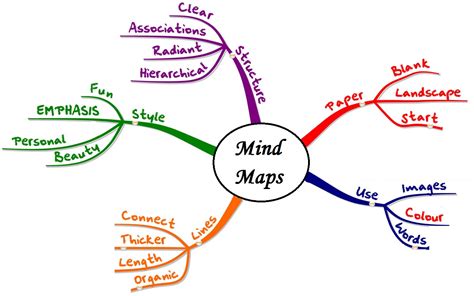 Image result for Human Memory Mind Map