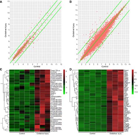 Toradh íomhá ar mRNA Microarray Analysis