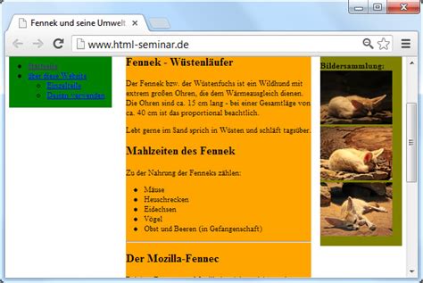 Afbeeldingsresultaten voor Layout MIT CSS