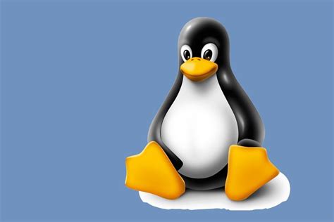 Image result for Linux Photography Logo