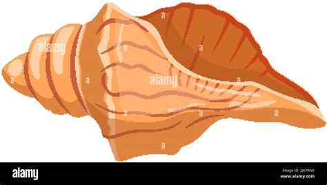 Image result for Shell Cartoon