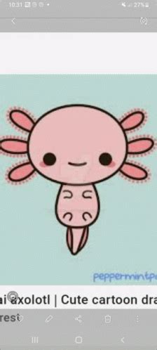 Image result for Axolotl Drawing GIF
