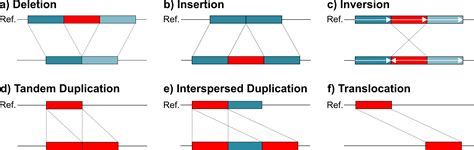 Toradh íomhá ar Structural Variation