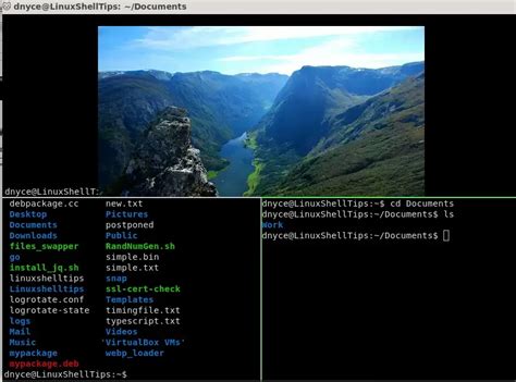 Image result for Linux Mouse for Terminal