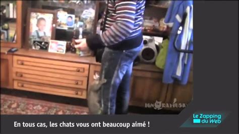 Zap Des Animaux に対する画像結果