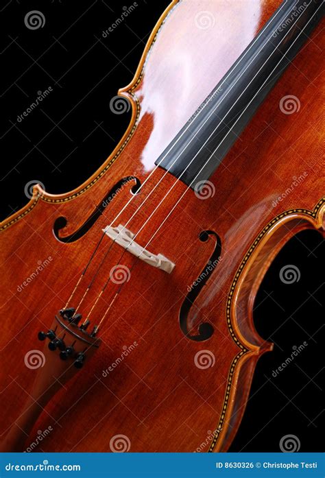 Image result for Beautiful Cello