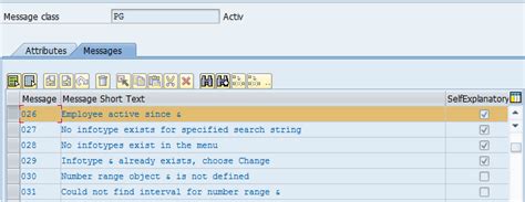 Image result for SAP Output Message Neu Chang Message