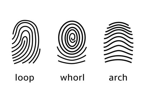 Image result for Fingerprint Lesson