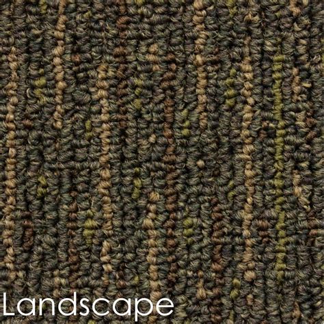 Image result for Level Loop Pattern in Room