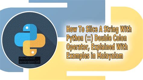 Image result for Python Colon Typing