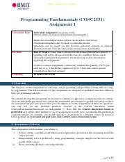 Image result for RMIT Programming Assignment