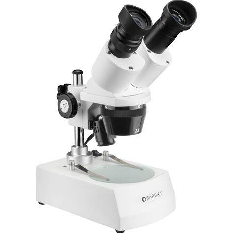 Image result for Stereo Microscope