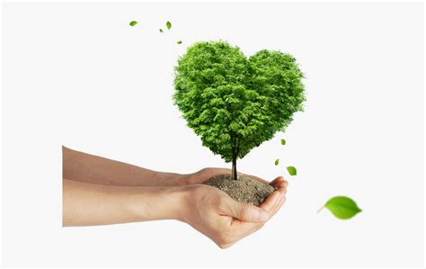 Toradh íomhá ar Background for Tree Planting