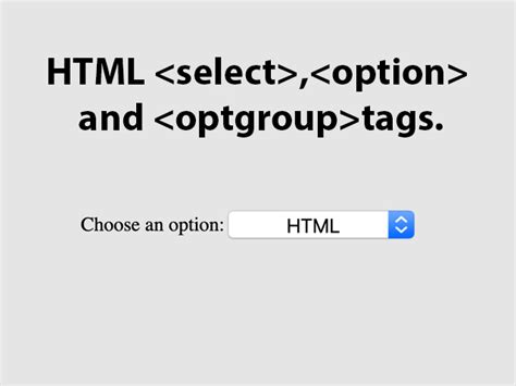 Afbeeldingsresultaten voor HTML Choose Box