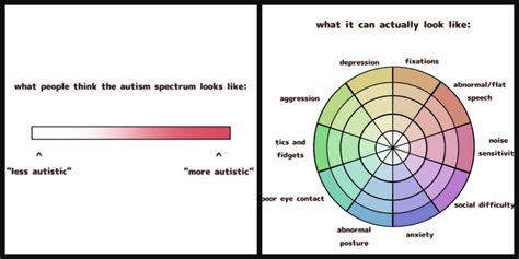 Autism Spectrum Disorder Diagram に対する画像結果