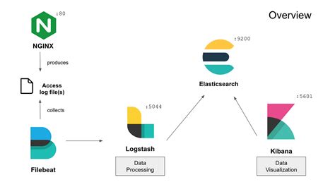 Nginx Access Log에 대한 이미지 결과