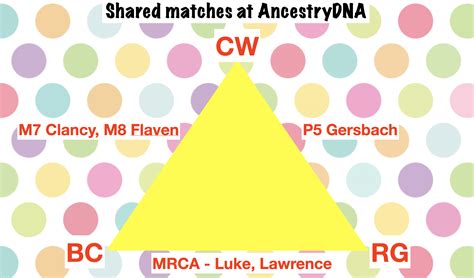 Afbeeldingsresultaten voor Shared Matches On AncestryDNA