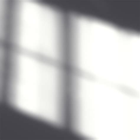 Image result for Window Reflection Overlay