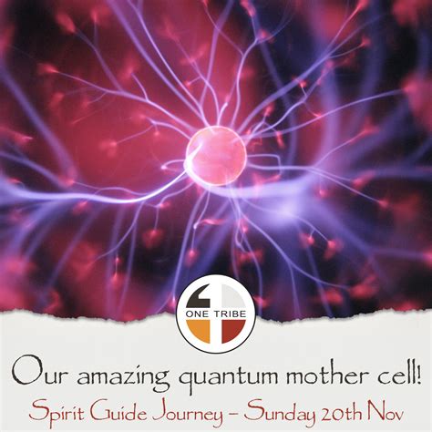 Toradh íomhá ar Mother Cell