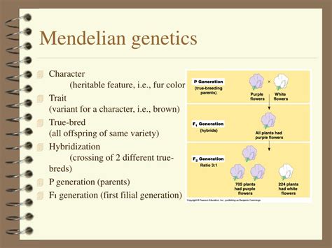 Image result for Examples of Mendelian Inheritance