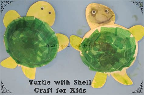 Image result for Turtle Shell Craft
