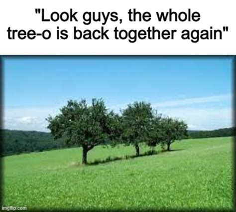 Parry Gripp Back Together Again-এর ছবি ফলাফল