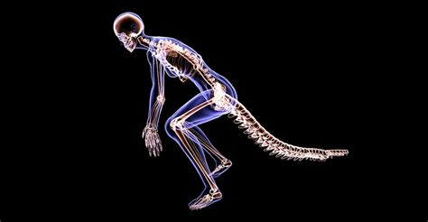 Image result for Human with Monkey Tail