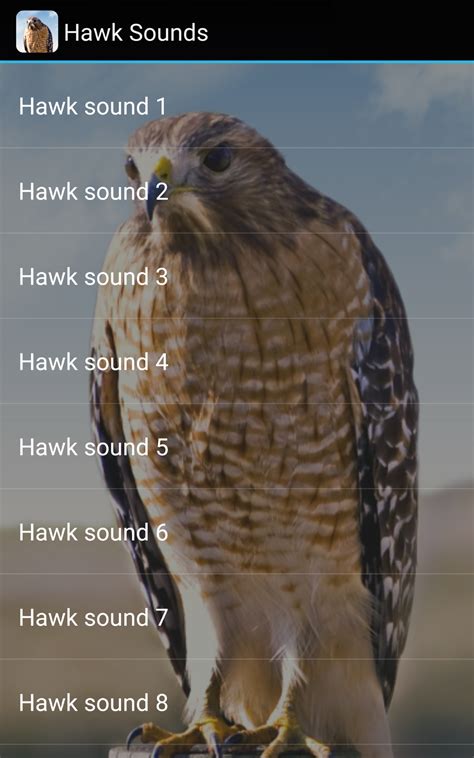 Hawk Call Goss-க்கான படிம முடிவு