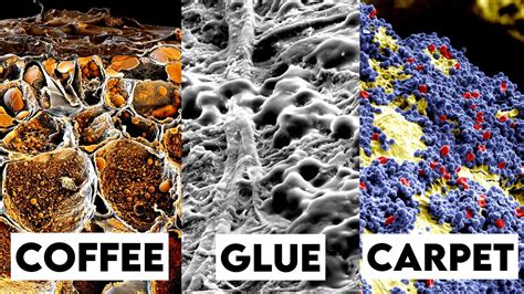 Image result for Object Under Simple Microscope