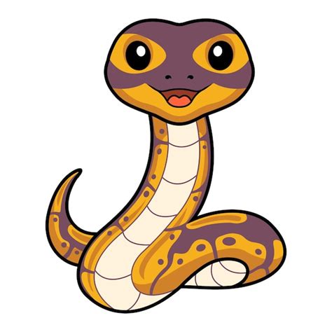 Toradh íomhá ar Ball Python Snake Cartoon Drawing