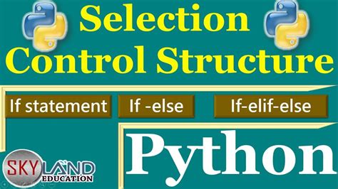 Selection Control in Python に対する画像結果