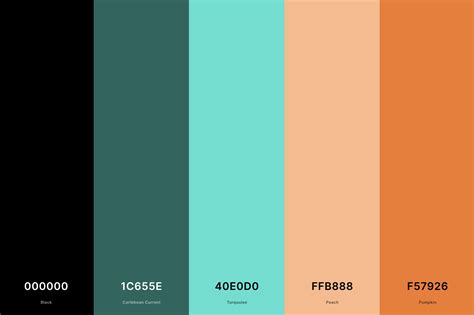 Coral Hex Code Color Combinations に対する画像結果