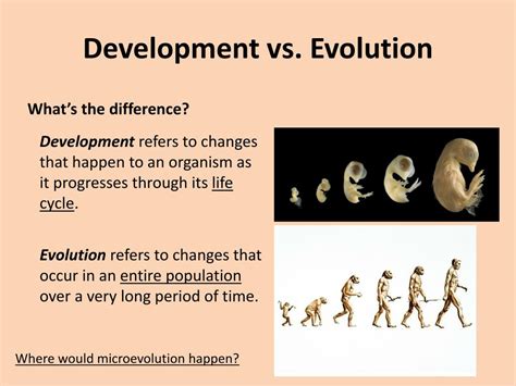 Image result for Evolution vs Development
