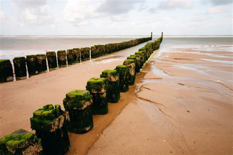 Toradh íomhá ar Logo Voorne Aan Zee