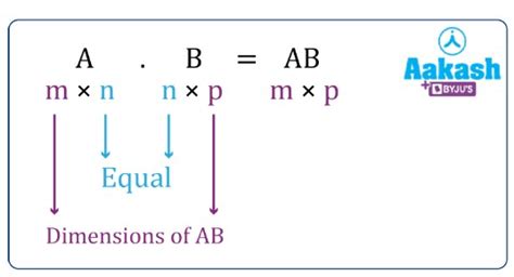 Matrix Multiplication Properties に対する画像結果
