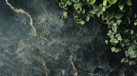 Afbeeldingsresultaten voor Overlay Pattern Stone