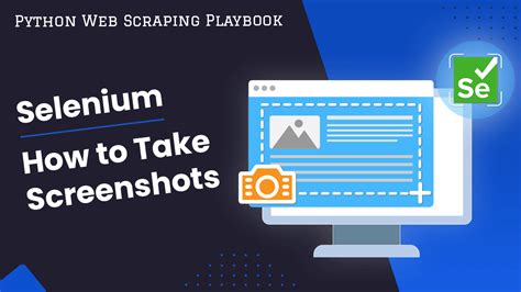 Image result for Selenium Interface Screenshot