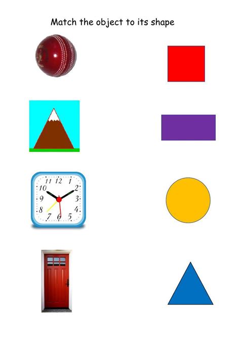 Afbeeldingsresultaten voor Match Each Object with Its Function