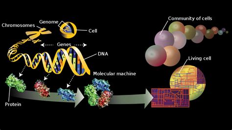 Transcriptomics vs Proteomics に対する画像結果