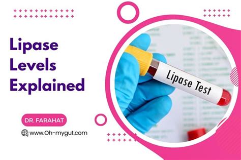 Image result for Lipase Levels Chart
