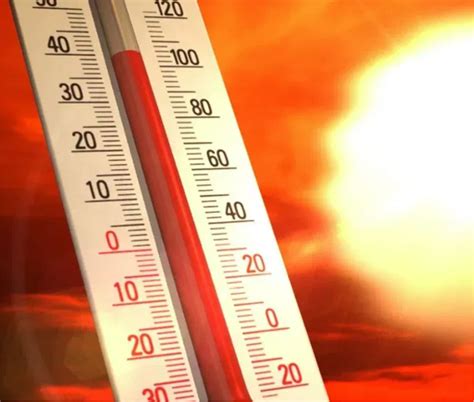 Image result for How Sweating Cools The Body