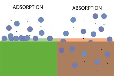 Image result for Adsorption Process Simple Diagram