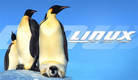 Image result for Linux Penguin Windows