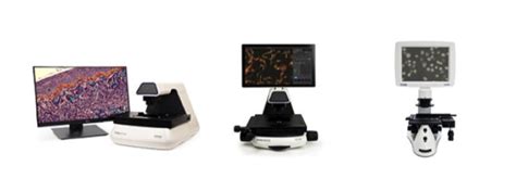 Evos Inverted Microscope に対する画像結果